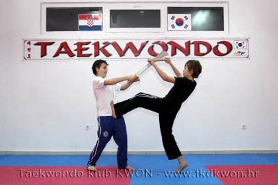 taekwondo kwon training